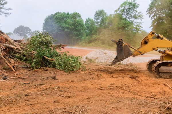 Ground Clearing in Kennesaw