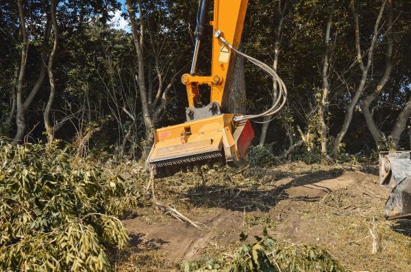 Brush Removal Service in Kennesaw