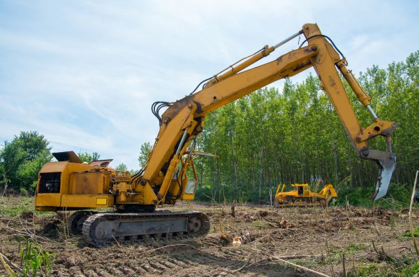 Farm Clearing in Kennesaw