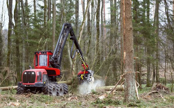 Forest Clearance Service in Kennesaw