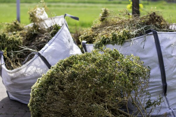 Cost of Bushes Clearing in Kennesaw