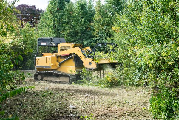 Pathway Clearing in Kennesaw