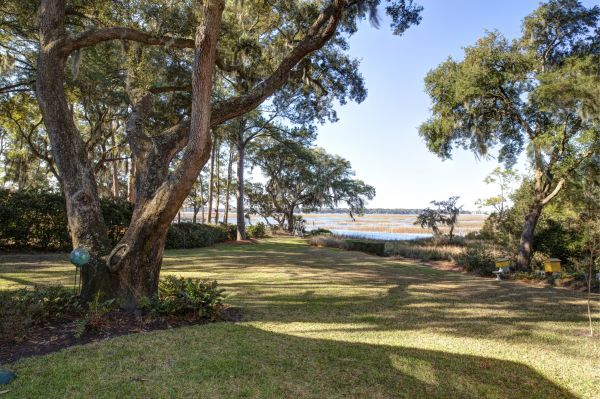 Lakefront Property Clearing in Kennesaw