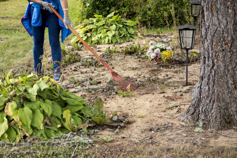 Environmental Impact